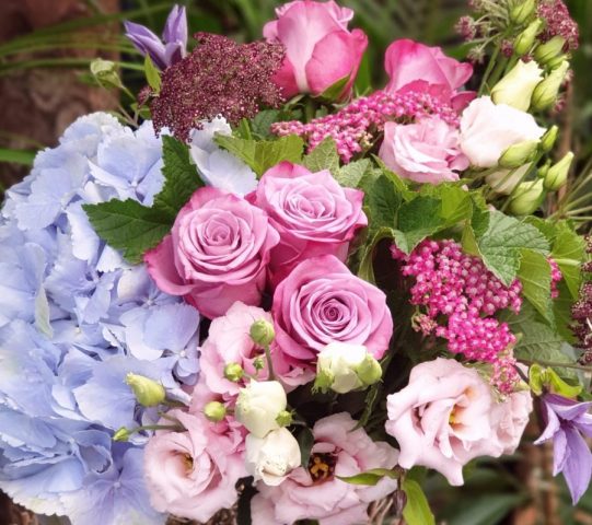 20200625_155848-2-scaled_